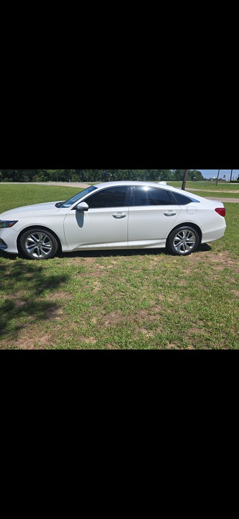 2019 Honda Accord 1.5T LX CVT's photo
